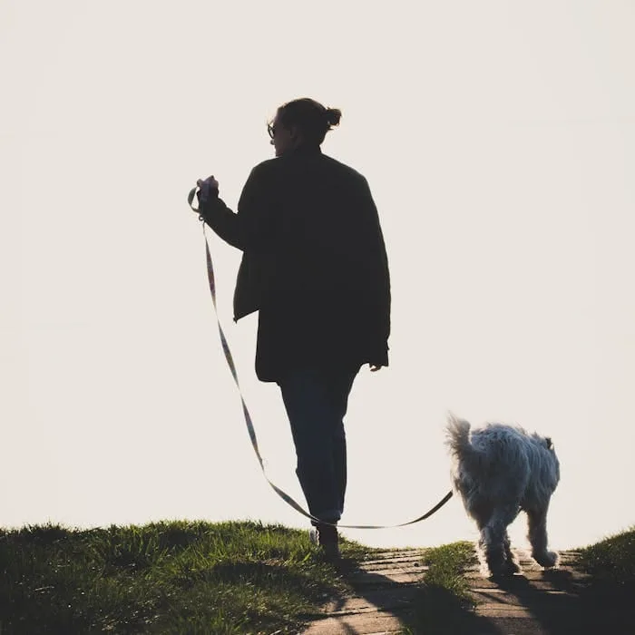 Dog walk with Paws in Rhodes at sunset
